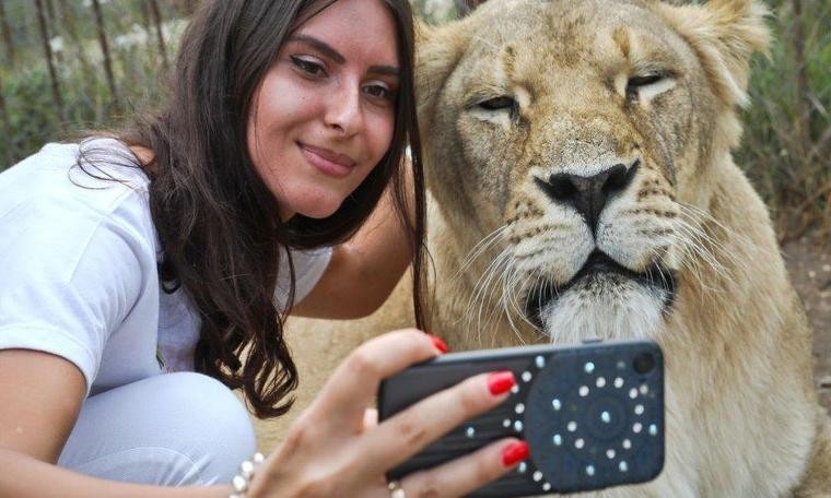 'Selfie çılgınlığı, yaban hayvanlarının doğum oranlarını düşürüyor'