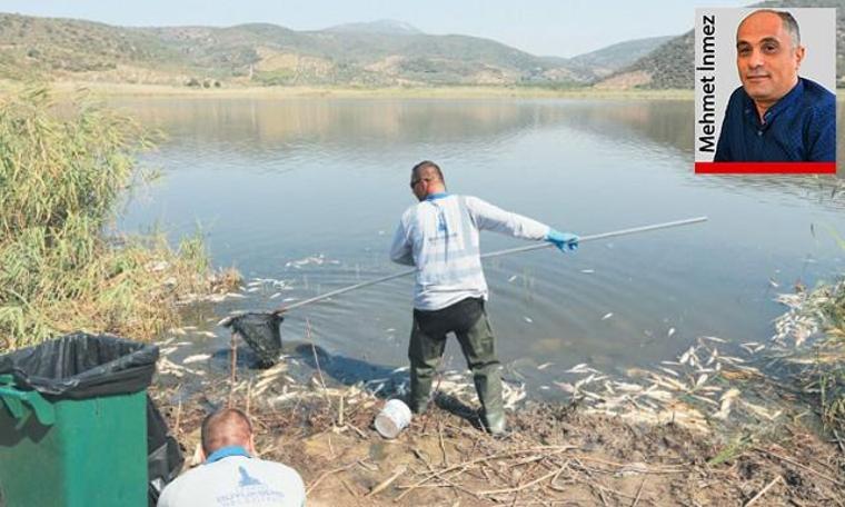 Küçük Menderes Nehri’nde toplu balık ölümleri