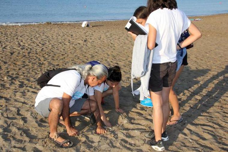 Caretta caretta sahiline traktörle girdi, görevlilere 'Sizi gömerim' dedi