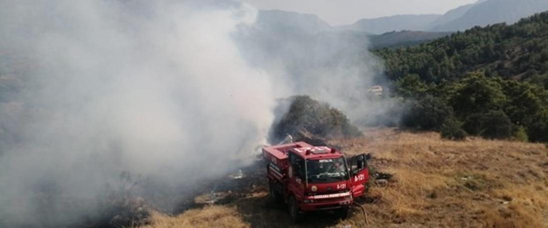 Antalya'da orman yangını (08.09.2019)