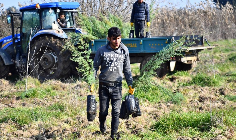 İZSU’dan Tahtalı Havzası’na 1 milyon 109 bin fidan