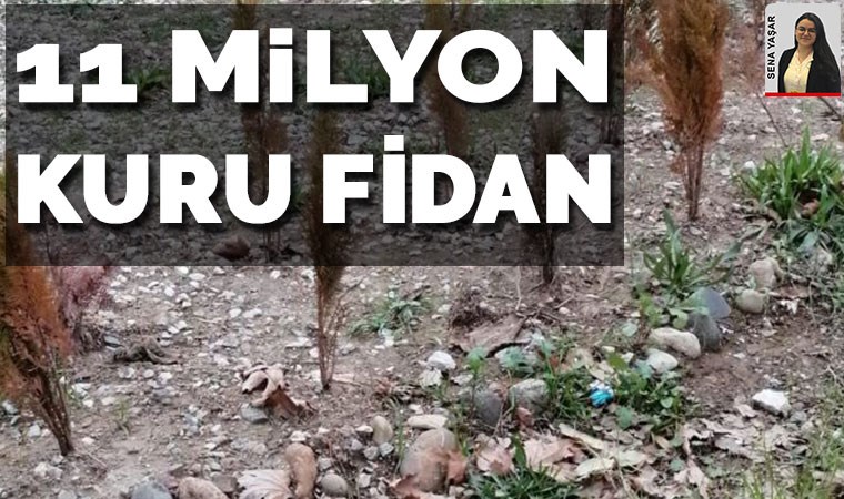 11 milyon 'kuru' fidan