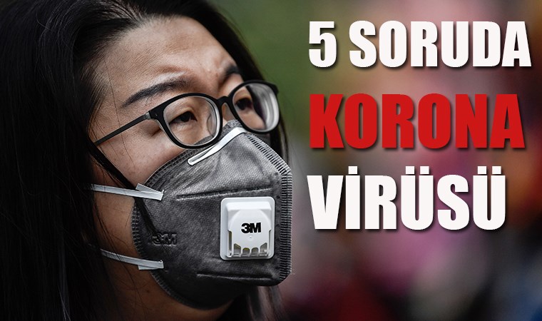 5 soruda korona virüsü