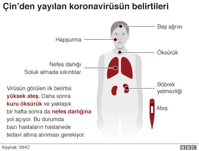 Koronavirüs: Çin'deki yeni virüsün belirtileri neler, nasıl ortaya çıktı ve neden ölümlere yol açıyor?