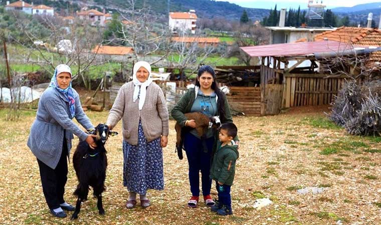 Kadınlara kıl keçisi desteklemesi meyvesini veriyor