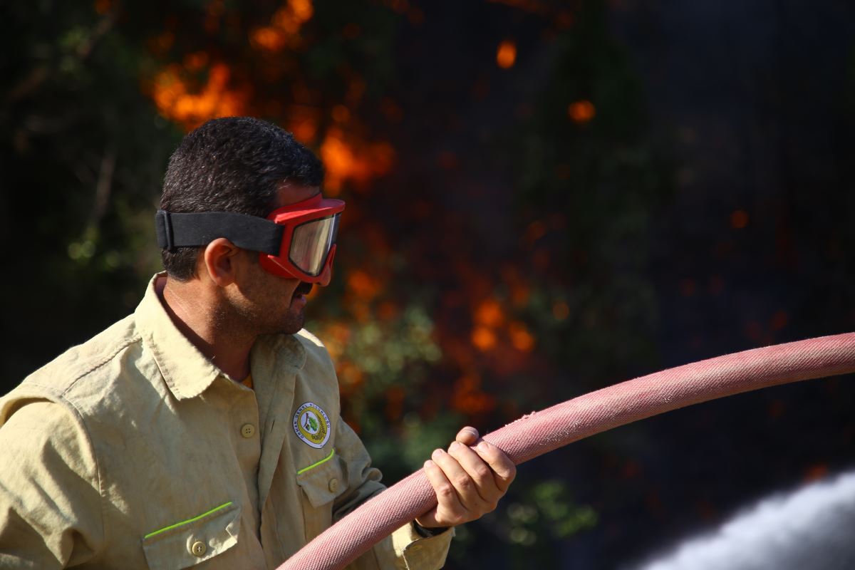 Hatay'da orman yangınlarına müdahale sürüyor