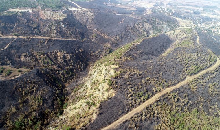 Hatay'da yanan ormanlık alanlar havadan görüntülendi