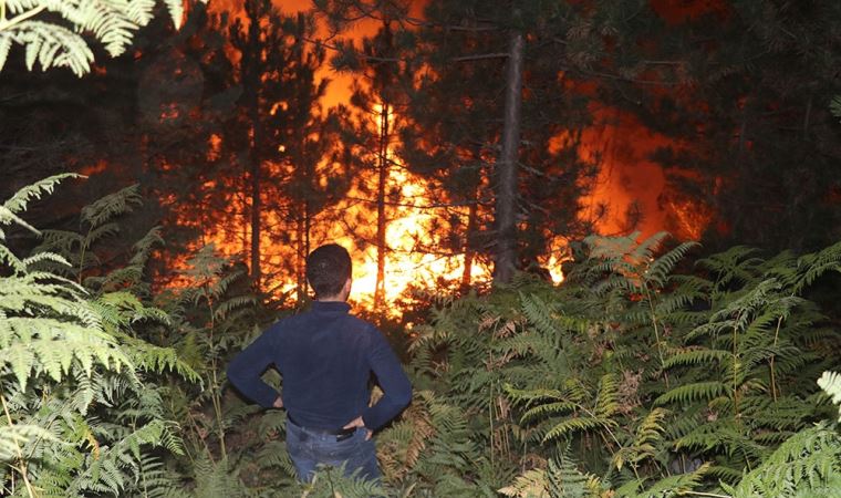 Bolu’da 45 orman yangınında 180 hektar alan zarar gördü