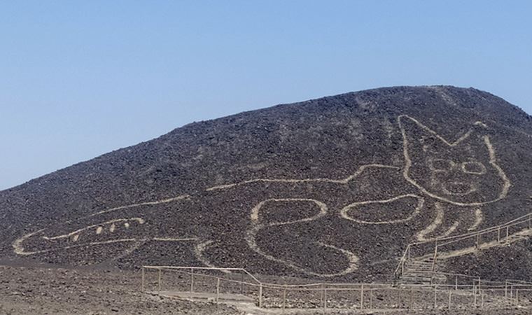 Peru'daki arkeologlar bir yamaca çizilmiş 2 bin yıllık kedi figürü keşfetti