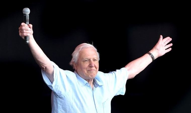 David Attenborough: Instagrama 'hızlı' giriş yapan 94 yaşındaki çevreci ve belgesel yapımcısı Attenborough'nun ilham verici hayatı