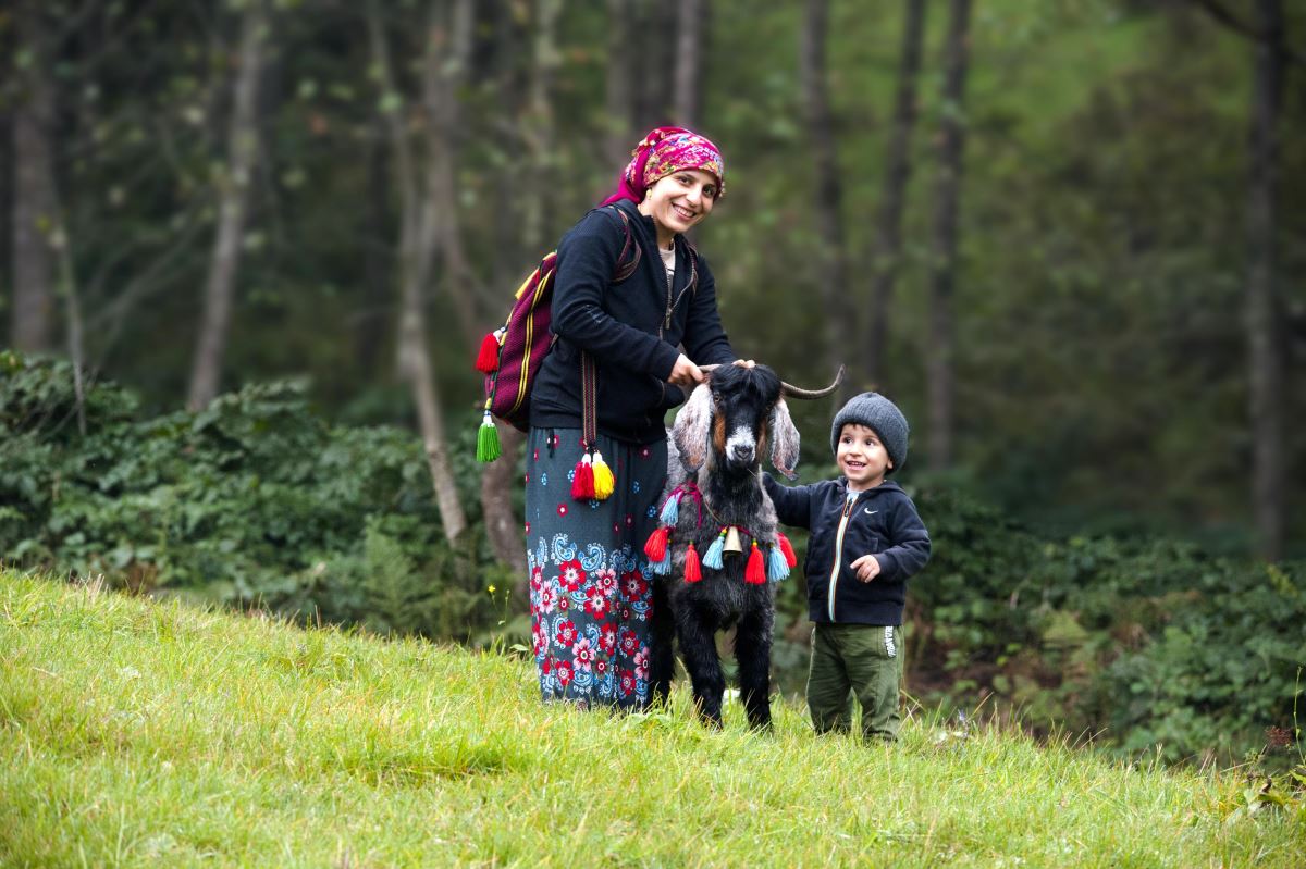 Karadeniz’de yaylacıların, renkli dönüş yolculuğu