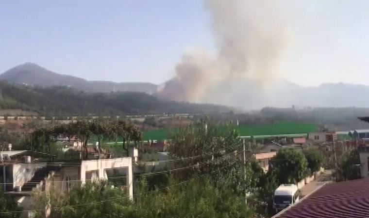 Hatay’da peş peşe orman yangınları!