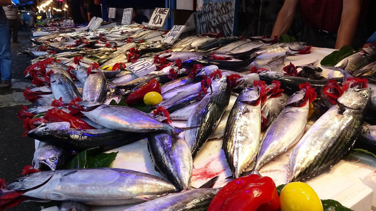 Tanesi 1 kiloya ulaştı: Karadeniz'de palamut bolluğu