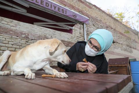 Engelli köpek sahiplenen Erdoğan: Yasanın bir an önce çıkmasını temenni ediyorum