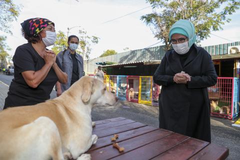 Engelli köpek sahiplenen Erdoğan: Yasanın bir an önce çıkmasını temenni ediyorum