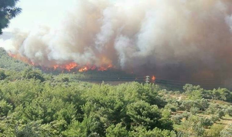 Hatay'da trafo patladı; yerleşim bölgesini saran yangını söndürme çalışmaları sürüyor