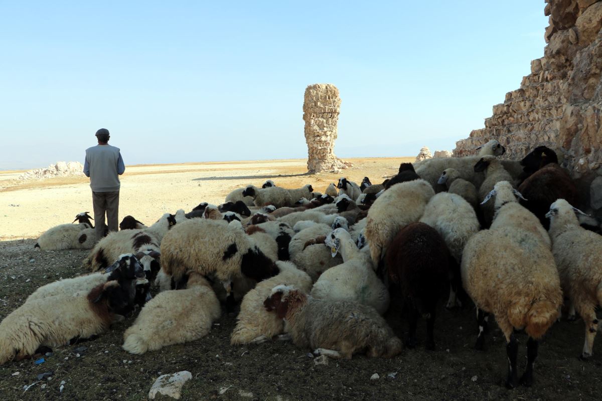 Van Gölü çekilince tarihi Erciş Kalesi ortaya çıktı (13.11.2020)