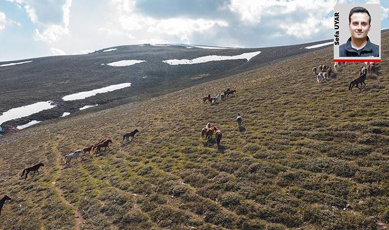 Altıncı kurnazlığı: Kanadalı şirketin uzantısı, Emirdağ yaylalarında altın arıyor