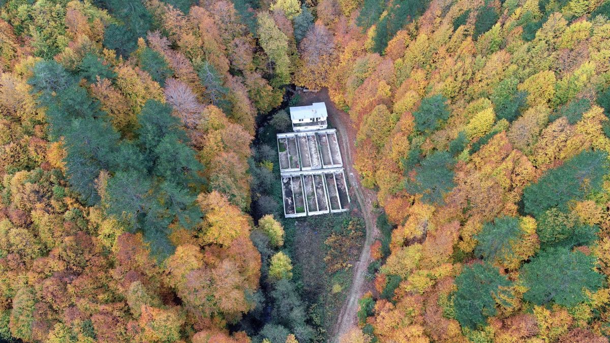 Kaz Dağları sonbaharda rengarenk