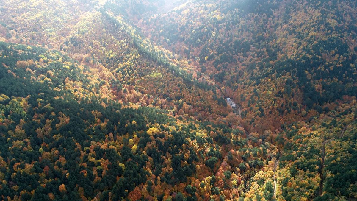 Kaz Dağları sonbaharda rengarenk