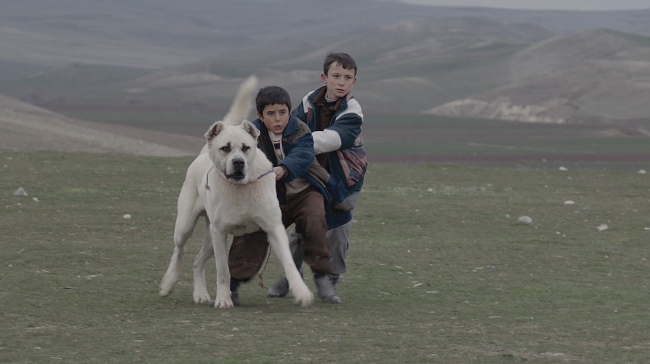 'Susuz Yaz'dan '7. Koğuştaki Mucize'ye, Oscar adaylığına başvuran Türk filmleri