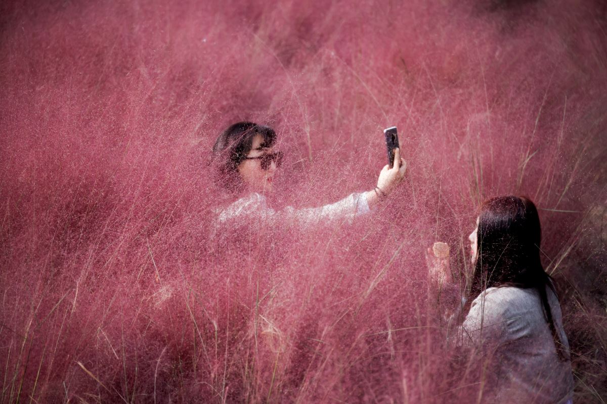 Reuters'tan yılın fotoğrafları