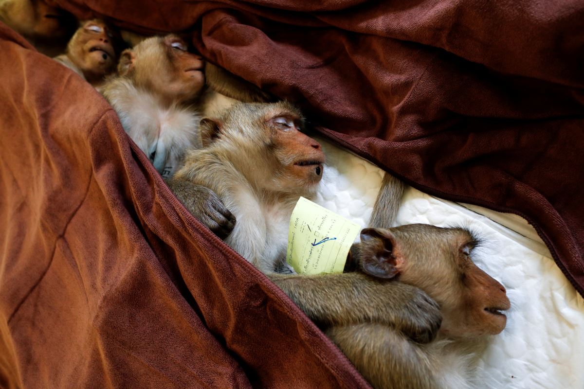 Reuters'tan yılın fotoğrafları