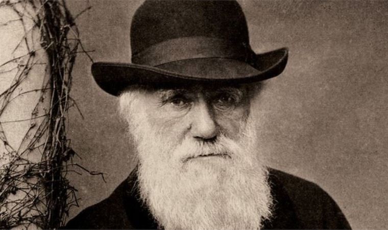 Charles Darwin: Doğa bilimcinin milyonlarca dolar değerinde iki defteri 20 yıldır kayıp, Cambridge Üniversitesi 'Muhtemelen çalındılar' diyor