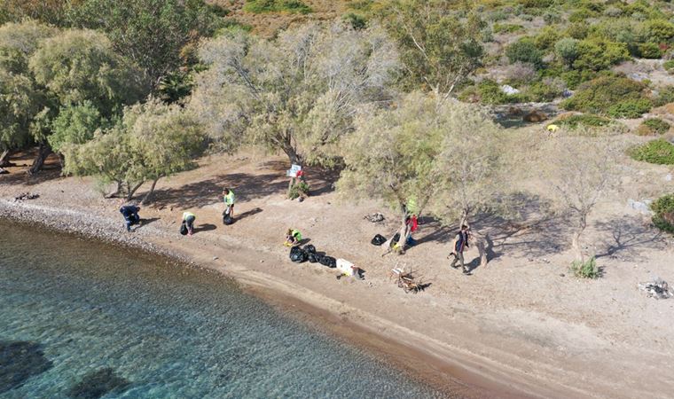 Bodrum'da doğa kazanacak