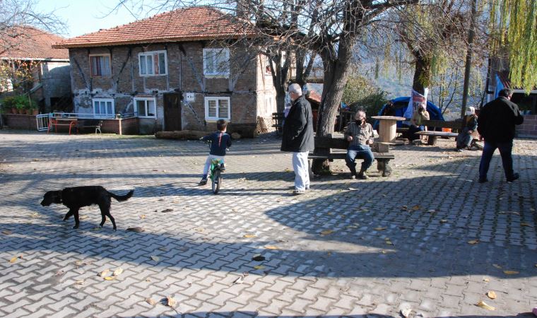 Koronavirüsün görülmediği köyden arsa satın almak istiyorlar