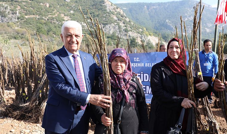 Muğla Büyükşehir Belediyesi'nden çiftçiye fidan desteği