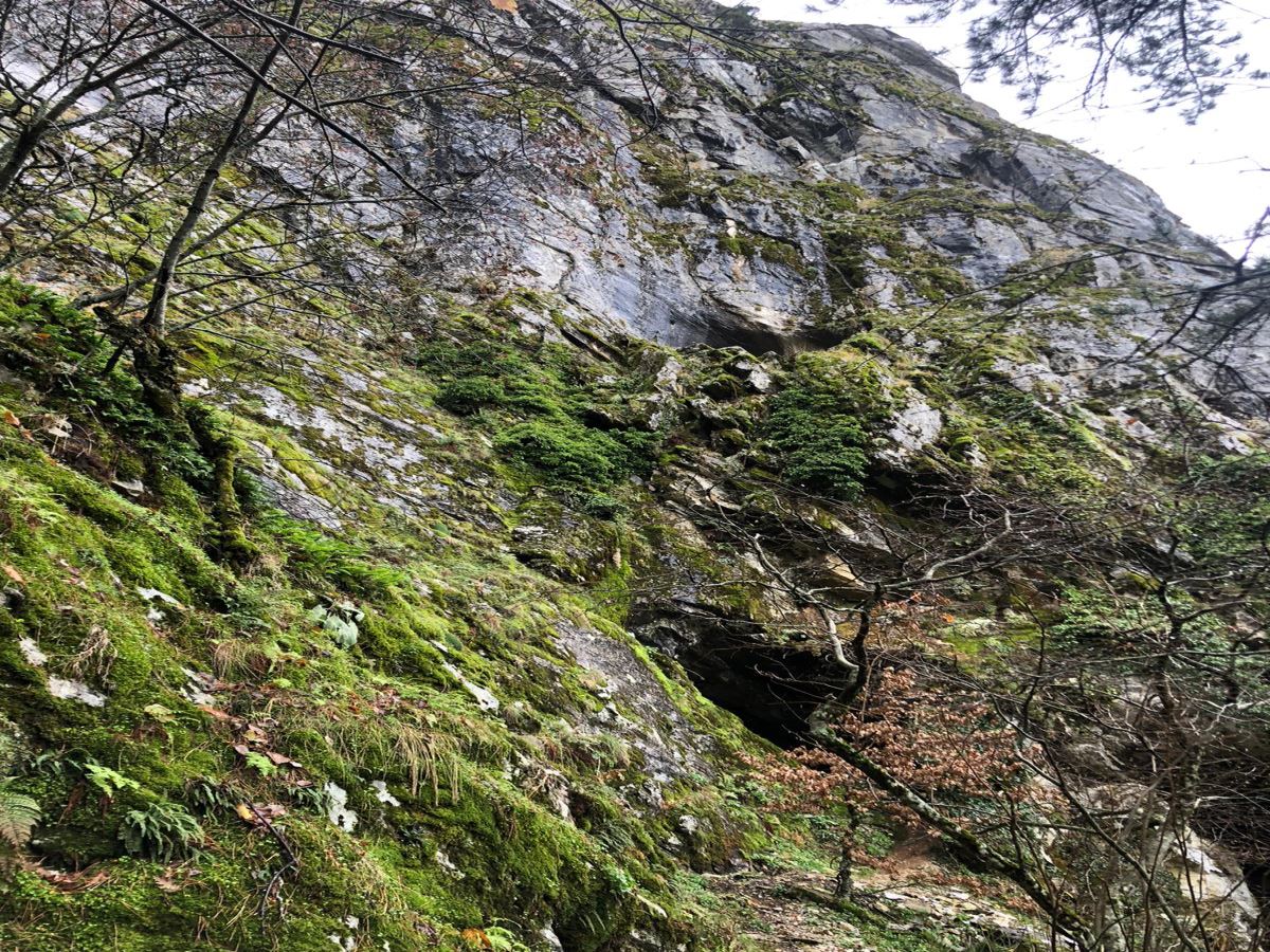 Alman bilim insanı Sintenis’in Kaz Dağları’nda yaşadığı mağara turizme açılacak