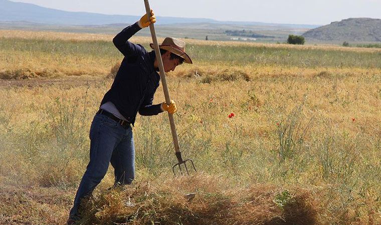 Kasımda enflasyon yüzde 14.03 iken, çiftçinin enflasyonu yüzde 20.7 oldu