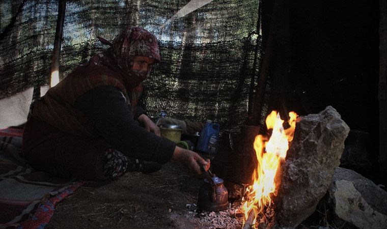 Hayatının tamamını ormanda yaşayarak geçirdi