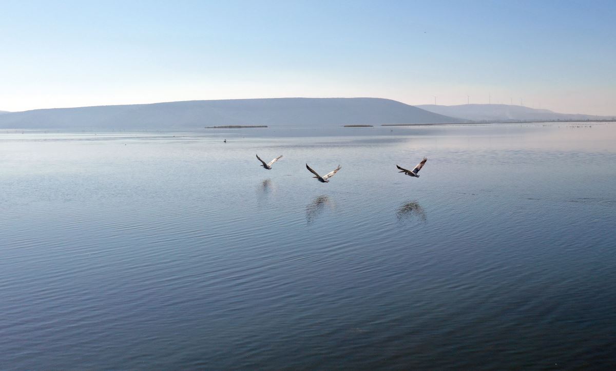 Kuş cenneti Bafa Gölü doğa tutkunlarını cezbediyor