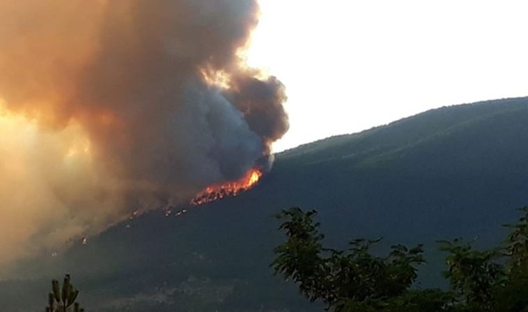 Kastamonu Araç'taki orman yangınında 12 hektarlık alan yandı