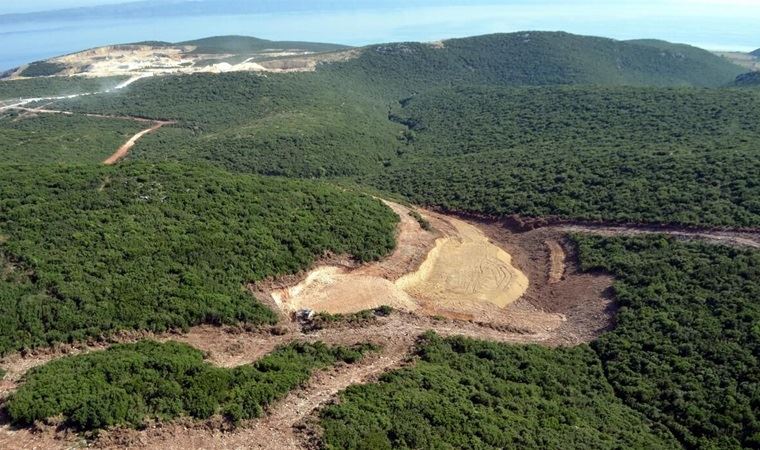 Bakanlıktan onay çıktı: Sakarya'da kalker ocağı projesi için 1500 ağaç kesilecek