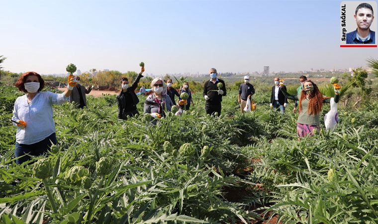 Mersin Mezitli’de 14 kadın üreticinin ‘kentsel tarım’ öyküsü