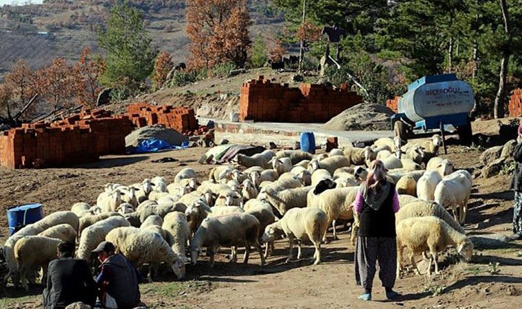 'Yardım Bakanlık tarafından yapıldı' dendi, gerçek bambaşka çıktı