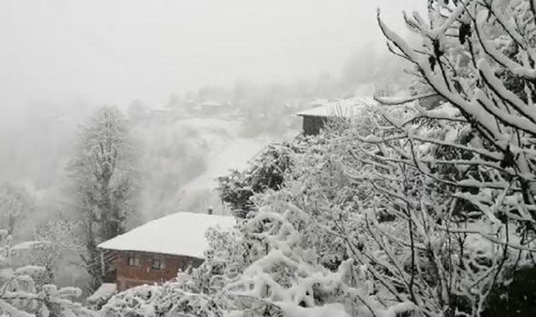 Rize'de kar yağışı; 89 köy yolu kapandı