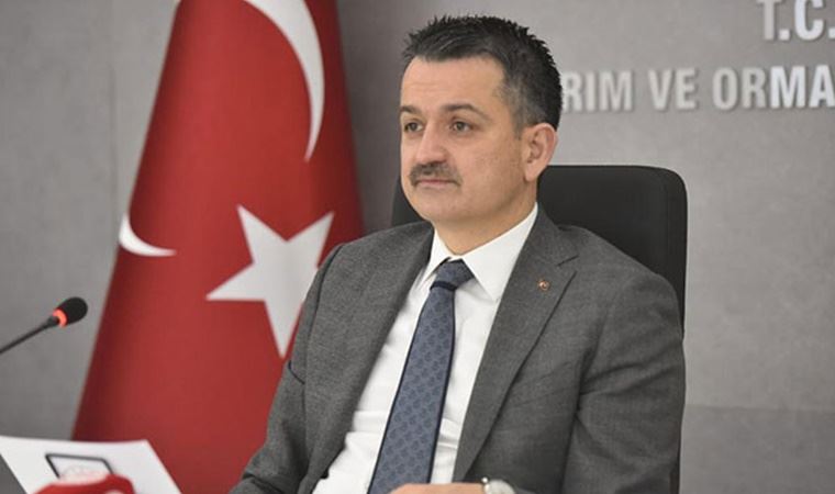 Tarım ve Orman Bakanı Bekir Pakdemirli: Yangınların yüzde 88'i ihmal ve dikkatsizlik kaynaklı