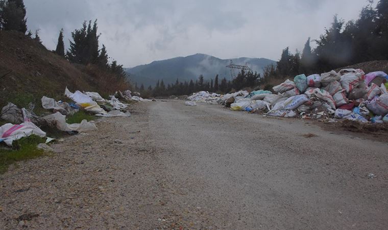 Moloz dökülen ormanlık alanda asbest tehlikesi