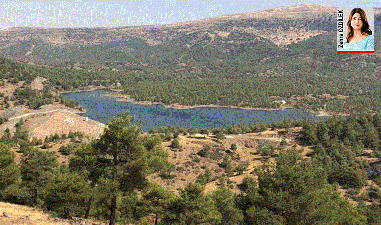 Hamidiye Göleti’ne kanal yapımı için ihale açıldı