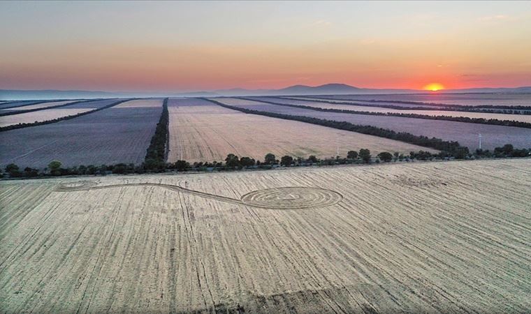 HEKTAŞ’tan Agriventis ve Arma İlaç’ı satın alma kararı