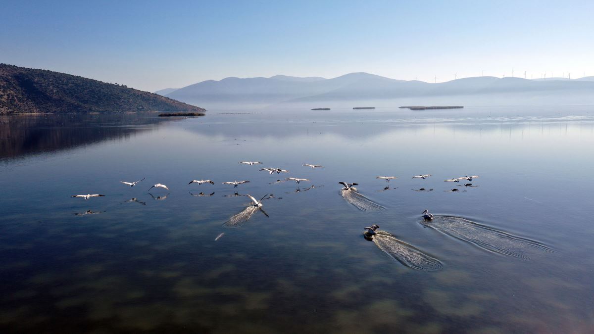 Haftanın fotoğrafları (06.12.2020)