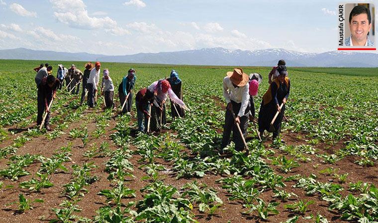 Şeker fabrikalarında asıl yükü çeken mevsimlik işçiler 25 yıldır kadro bekliyor