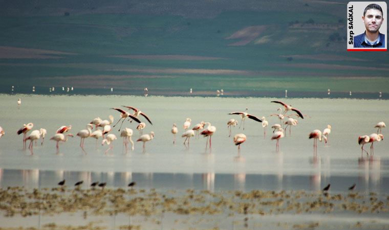 TEMA Vakfı kuraklık riskiyle karşı karşıya kalan Seyfe Gölü için uyarıyor