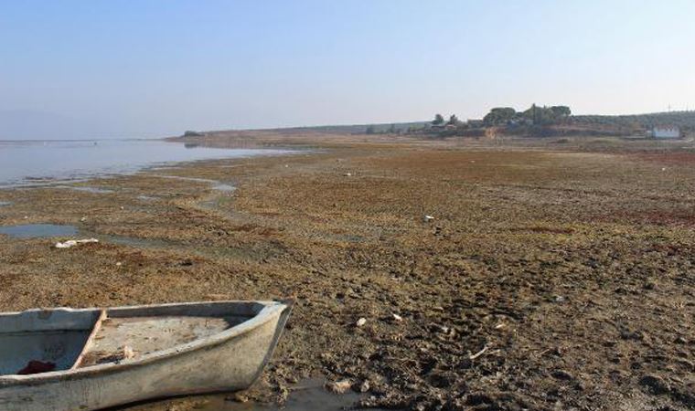 'Kuş cenneti' Marmara Gölü'nde derinlik 40 santimetreye düştü