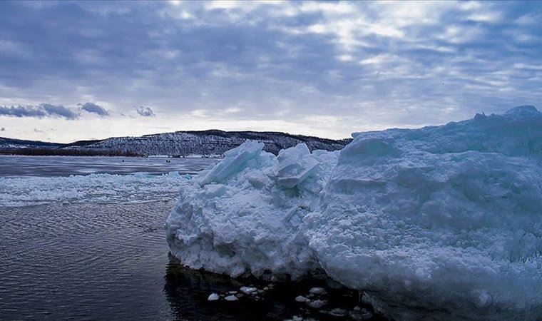 Sibirya'da Buzul Çağı'ndan kalma kuşun kalıntısı bulundu