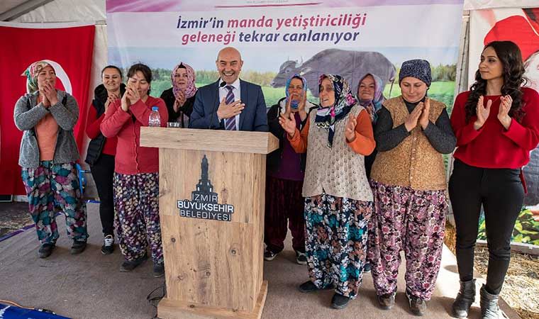 İzmir mozerellası için ilk adım: Büyükşehir Belediyesi'nden manda yetiştiriciliğine destek